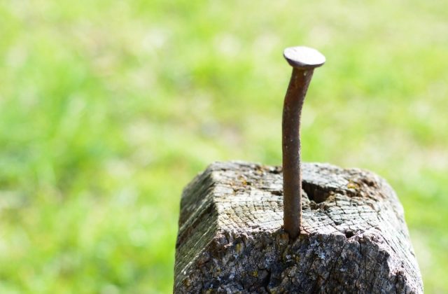 hammer nails wood