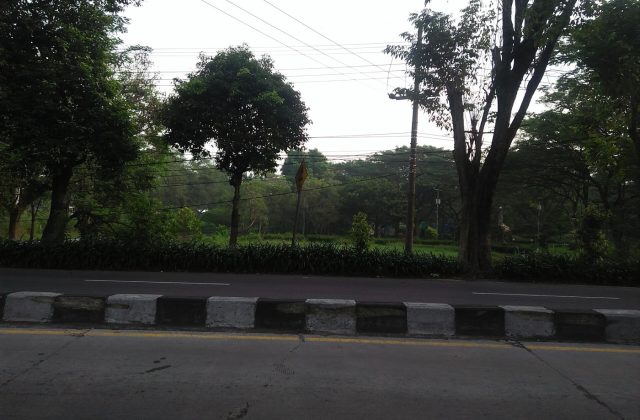 Kayu jati ukiran jogro — Taman Kebon Ratu merupakan salah satu taman di Kabupaten Jombang. Taman ini berada di dekat Tugu Peterongan Jombang, UD. Karya Jati, Hotel Yusro, dan Tirta Wisata Jombang. Di Taman