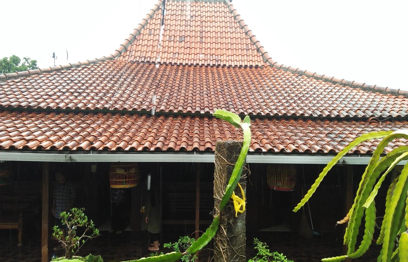 Rumah joglo — Rumah Joglo Tantya Sudhirajati