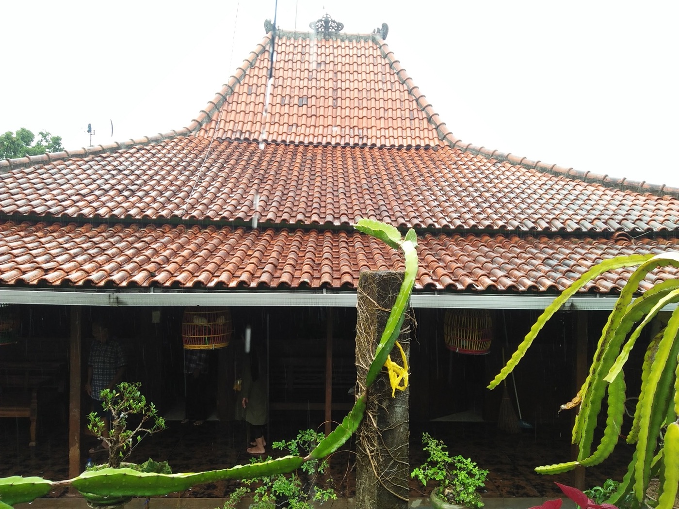 Garansi Struktur & Atap