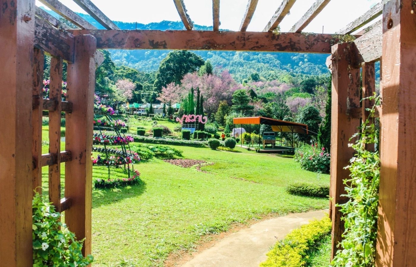 backyard tropical