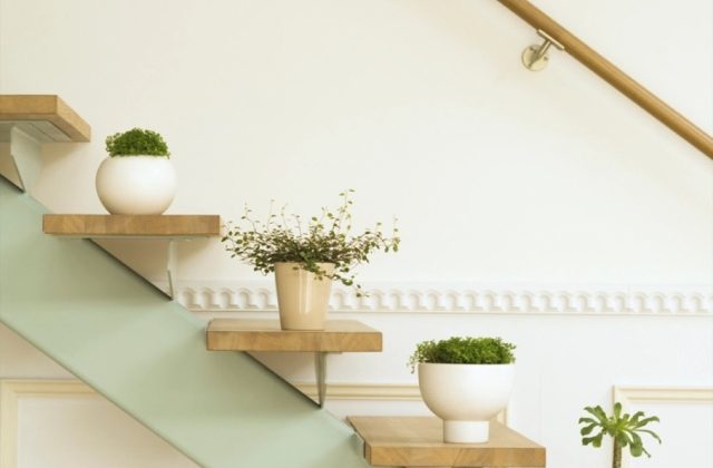 Flowerpots Situated Wooden Stairs Luxury