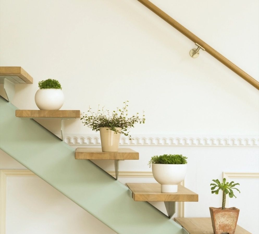 Flowerpots Situated Wooden Stairs Luxury